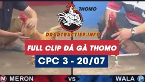 Full Video phát lại Trực tiếp đá gà Thomo C3 ngày 20/07/2024