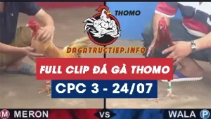 Full Video phát lại Trực tiếp đá gà Thomo C3 ngày 24/07/2024