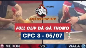 Full Video phát lại Trực tiếp đá gà Thomo ngày 05/07/2024